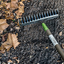 A rake scraping leaves away from the ground