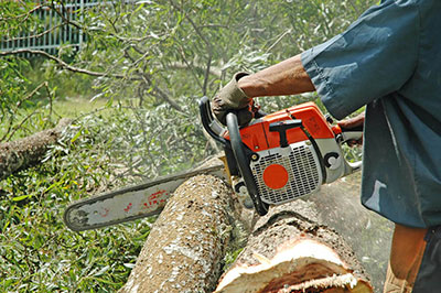 A chainsaw in action on a log