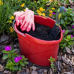 Pink gardening gloves draped over a red bucket