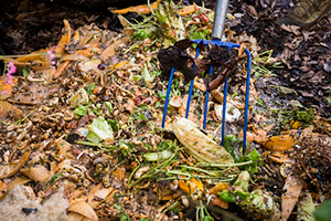 A pitchfork laying in a compost pile