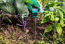 A gloved hand inserting a sensor into a garden bed