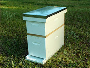 Beekeeping nuc