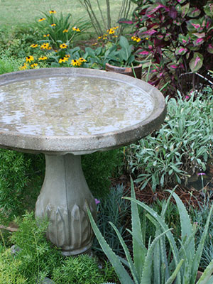 concrete birdbath