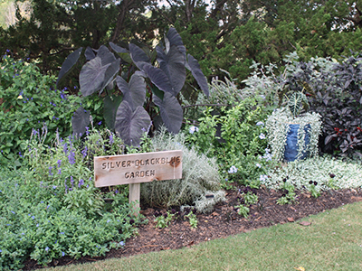 Garden bed with plants that are all cool colors, with a wooden sign that reads Silver Black Blue Garden