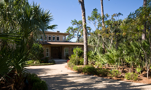 A very naturalized front yard, mostly pine trees and palmettos as seen from the driveway entrance