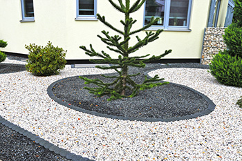 A lonely tree surrounded by nothing by artfully placed gravel