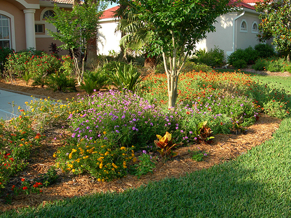Curb Appeal Gardening Solutions, How To Landscape Front Yard In Florida