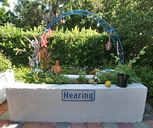 Sensory Gardens Gardening Solutions University Of Florida Institute Of Food And Agricultural Sciences