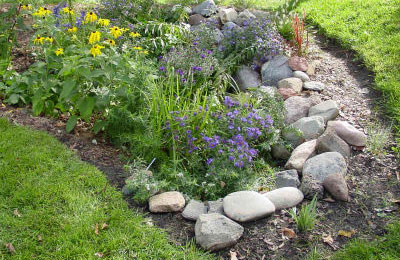 Rain Gardens - Gardening Solutions - University of Florida, Institute ...