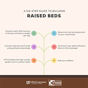 A too-small version of a very simplistic infographic listing six tips on builing raised beds