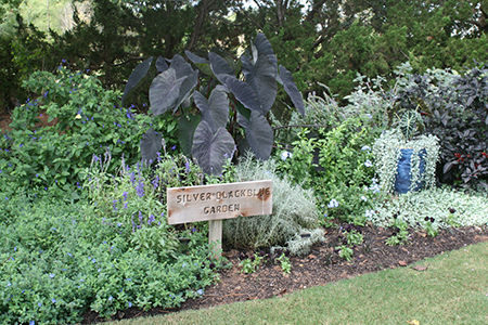 A garden bed with different plants with foliage or flowers that are blue, silver, and almost purple with a sign reading Silver, Black, Blue Garden