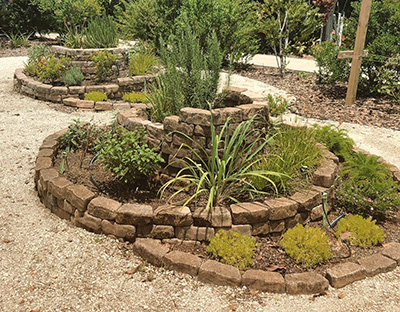 Two spiral gardens filled with green plants surrounded by gravel walkways