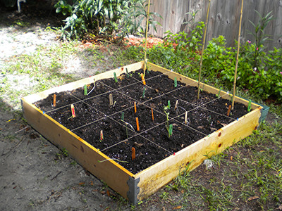 Square Foot Gardening Gardening Solutions University Of Florida Institute Of Food And Agricultural Sciences