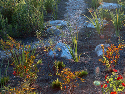 rain garden with dry river bed made of stones