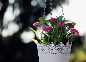 A white metal hanging planter with decorative lacy edges, inside is a plant with pink flowers
