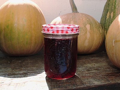 Jar of roselle jelly sitting on wooden table with Seminole pumpkins
