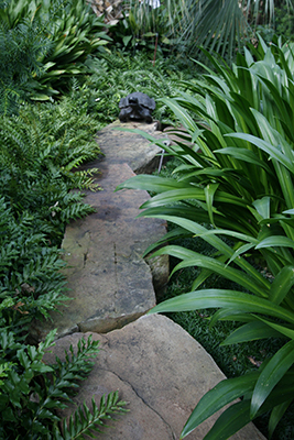 A flagstone path ends at a bronze tortoise sculpture in a deeply shaded garden full of green plants