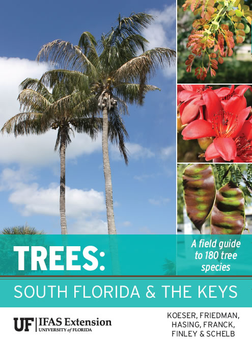 Cover of the book Trees: South Florida and the Keys, with palm trees and a blue sky featured prominently