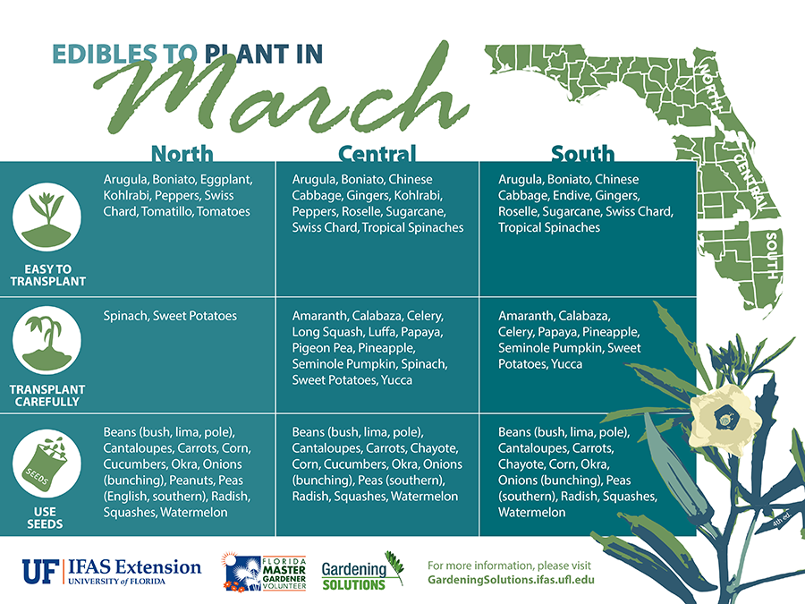 List of vegetables to plant this month in Florida; see below for link to text version
