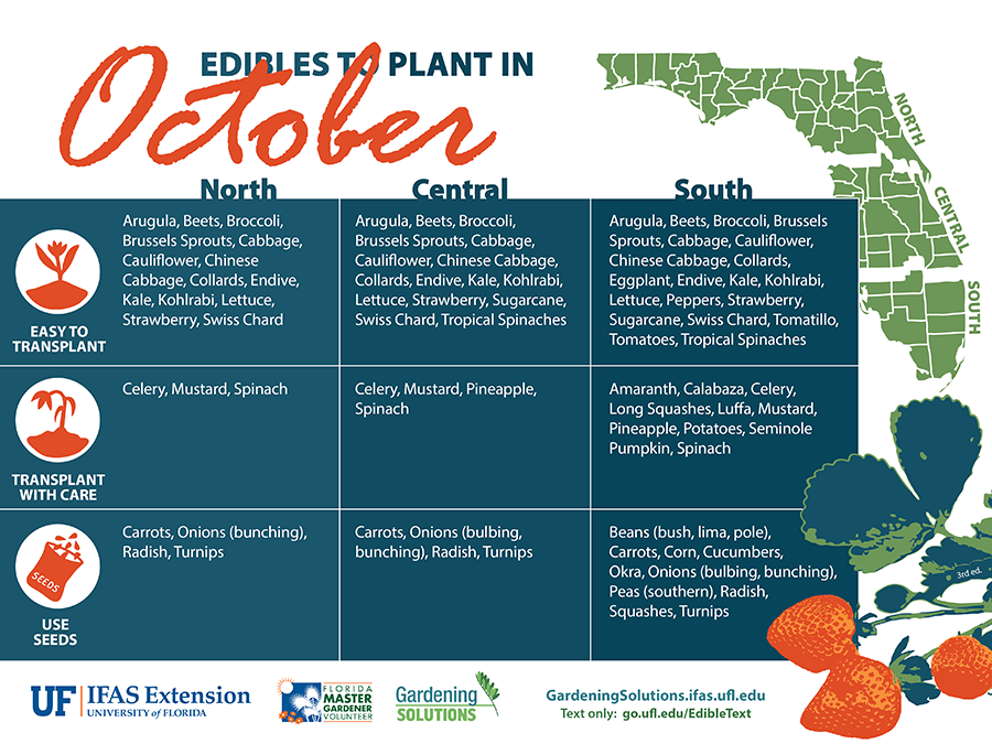 Graphic listing vegetables to plant in October for Florida, see Gardening Calendar publications linked below for text versions.