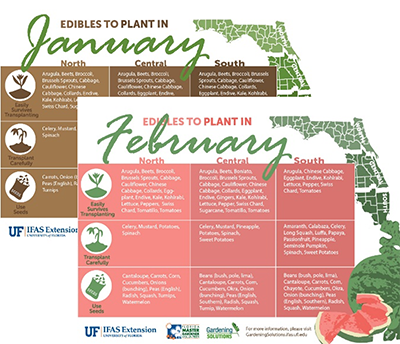 Planting Guide for Home Gardening in Alabama - Alabama Cooperative  Extension System