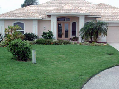 A zoysiagrass lawn