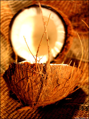 Coconut cracked open