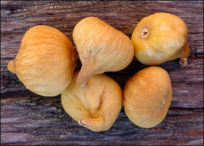 Figs