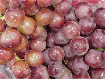 Red grapes