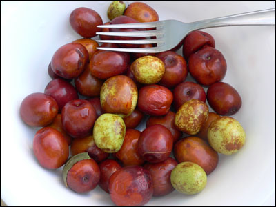 Jujube fruits