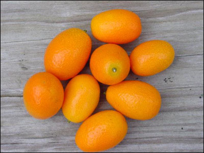 Kumquats