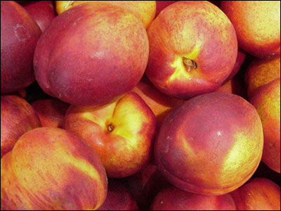 Nectarines