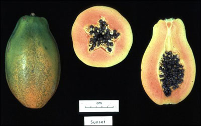 Papayas, one cut in half