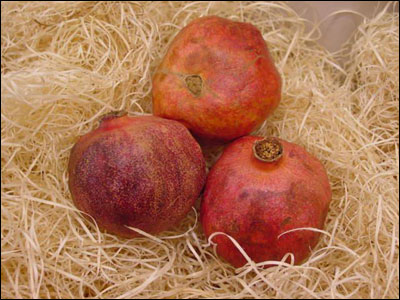 Pomegranate fruit