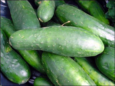 Cucumbers