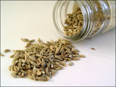 Fennel seeds