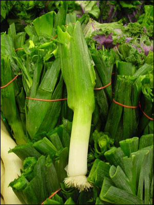 The stalk of a leek