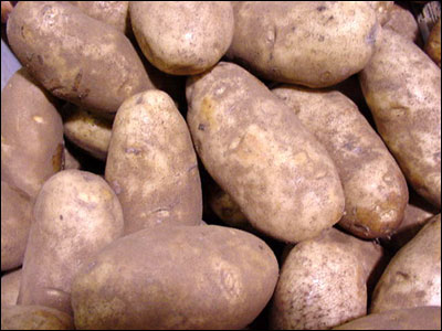 Potatoes