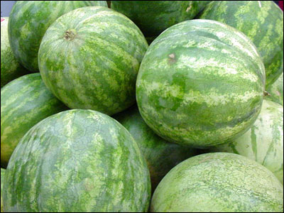 Watermelons