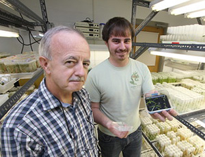Two men standing in a laboratory with seedlings