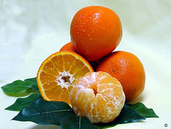 A prettily arranged pile of round orange Sugar Belle mandarins, with one cut open to reveal flesh and another peeled to show fruit in segments.