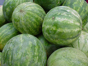 Watermelon - UF/IFAS Gardening Solutions - University of Florida