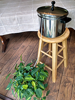 A plant on the floor with a pot on a stool above it and a cord between the two