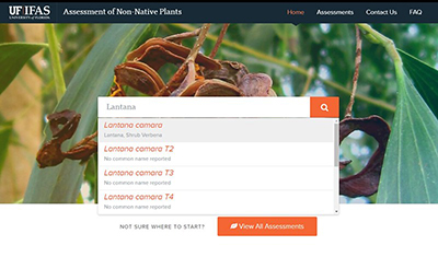 Screen shot of the Assessment website showing a dropdown menu listing all the lantana species