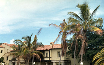 Coconut palms in front of a Spanish style home, many fronds on the palms are yellow