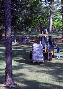 Backhoe among trees