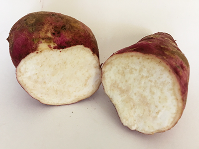 A boniato tuber cut open to revel white flesh speckled