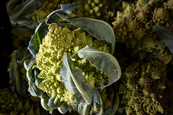 An unusual looking cauliflower head, pyramid shaped and light green, with leaves curling over the head