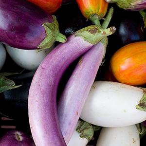 Eggplant fruits of differing colors and shapes,  even orange