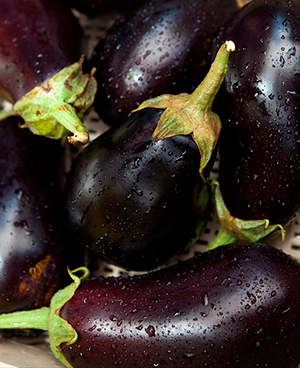 Dark purple eggplants that are wet from washing